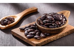 Vitakruid Mucuna Pruriens: The Power of Natural L-Dopa